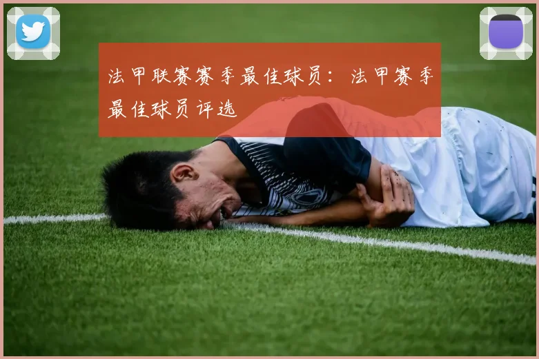 法甲联赛赛季最佳球员：法甲赛季最佳球员评选