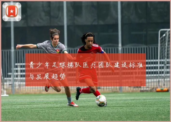 青少年足球梯队医疗团队建设标准与发展趋势
