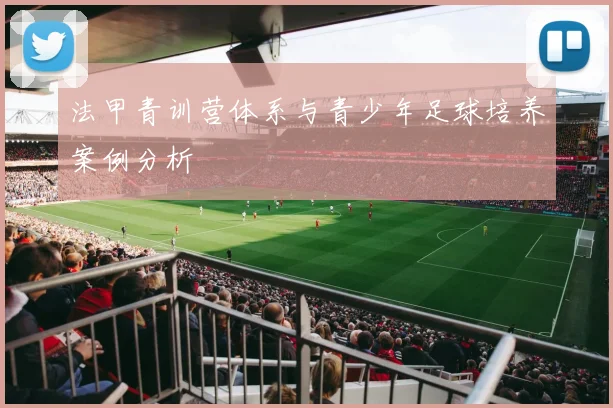 法甲青训营体系与青少年足球培养案例分析