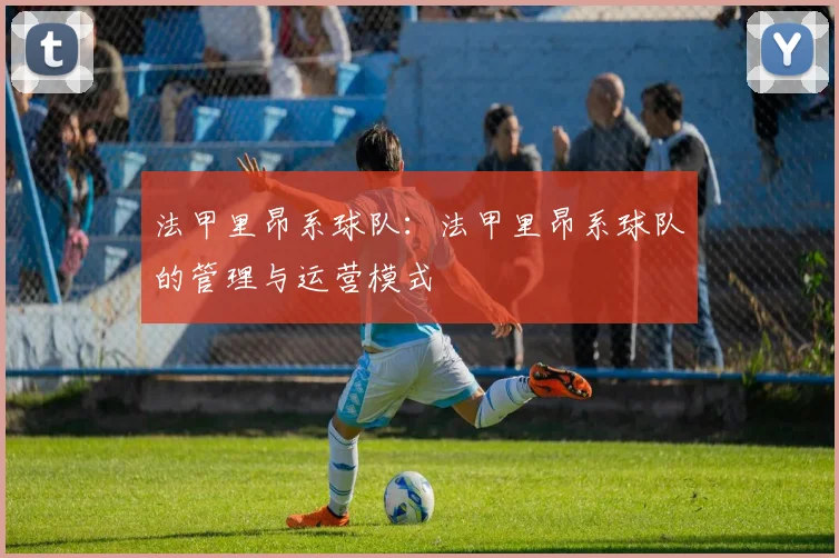 法甲里昂系球队：法甲里昂系球队的管理与运营模式