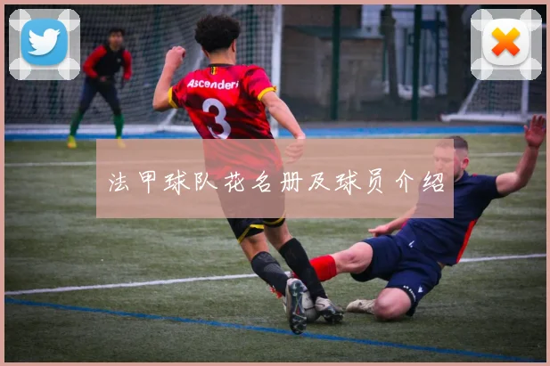 法甲球队花名册及球员介绍