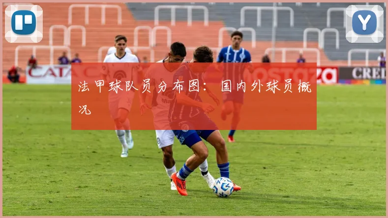 法甲球队员分布图：国内外球员概况