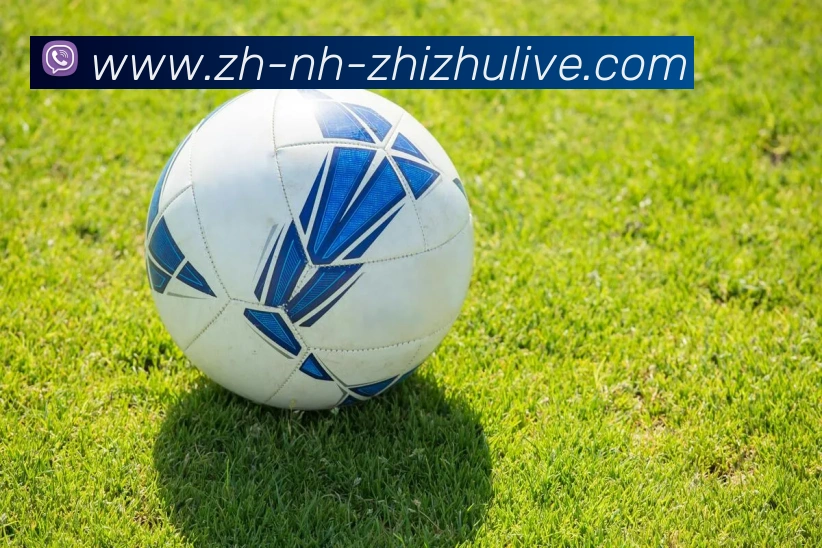 蜘蛛直播品牌故事