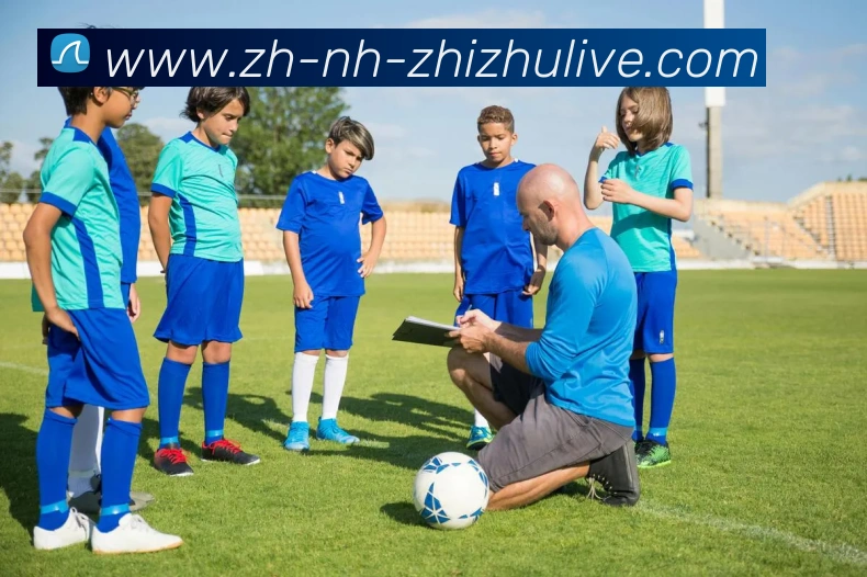 蜘蛛直播服务体系